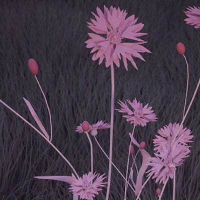 注册就送38的平台app下载截图